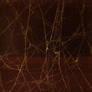 Seamless Spiderweb Texture