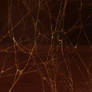 Dark Spiderweb Texture