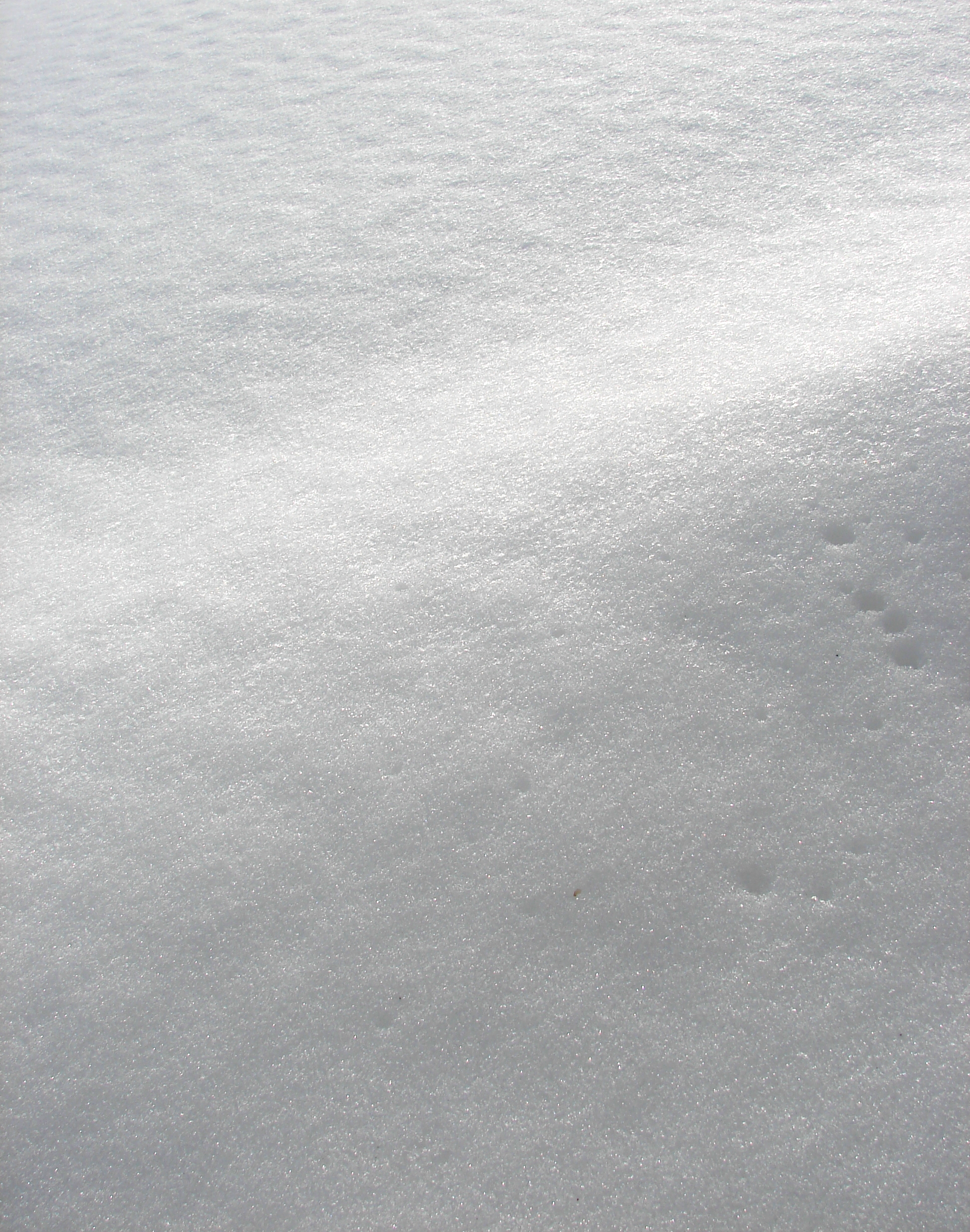 Winter Icy Snow Texture 1