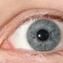 Jodi Anatomy of a Blue Eye 1