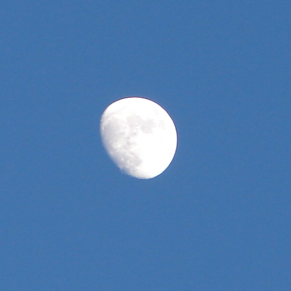 Blue Sky Daylight Moon 2