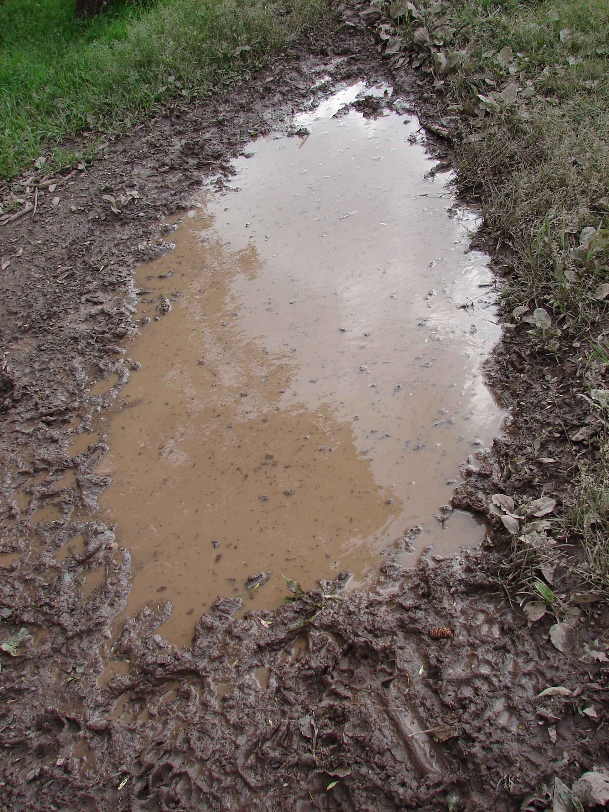 Muddy Water Puddle 1 by FantasyStock