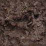 Seamless Wet Mud Texture