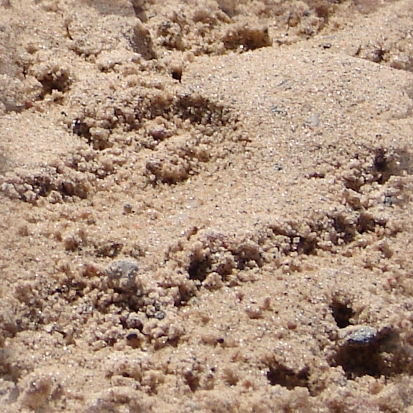 Gritty Seamless Sand Texture by FantasyStock