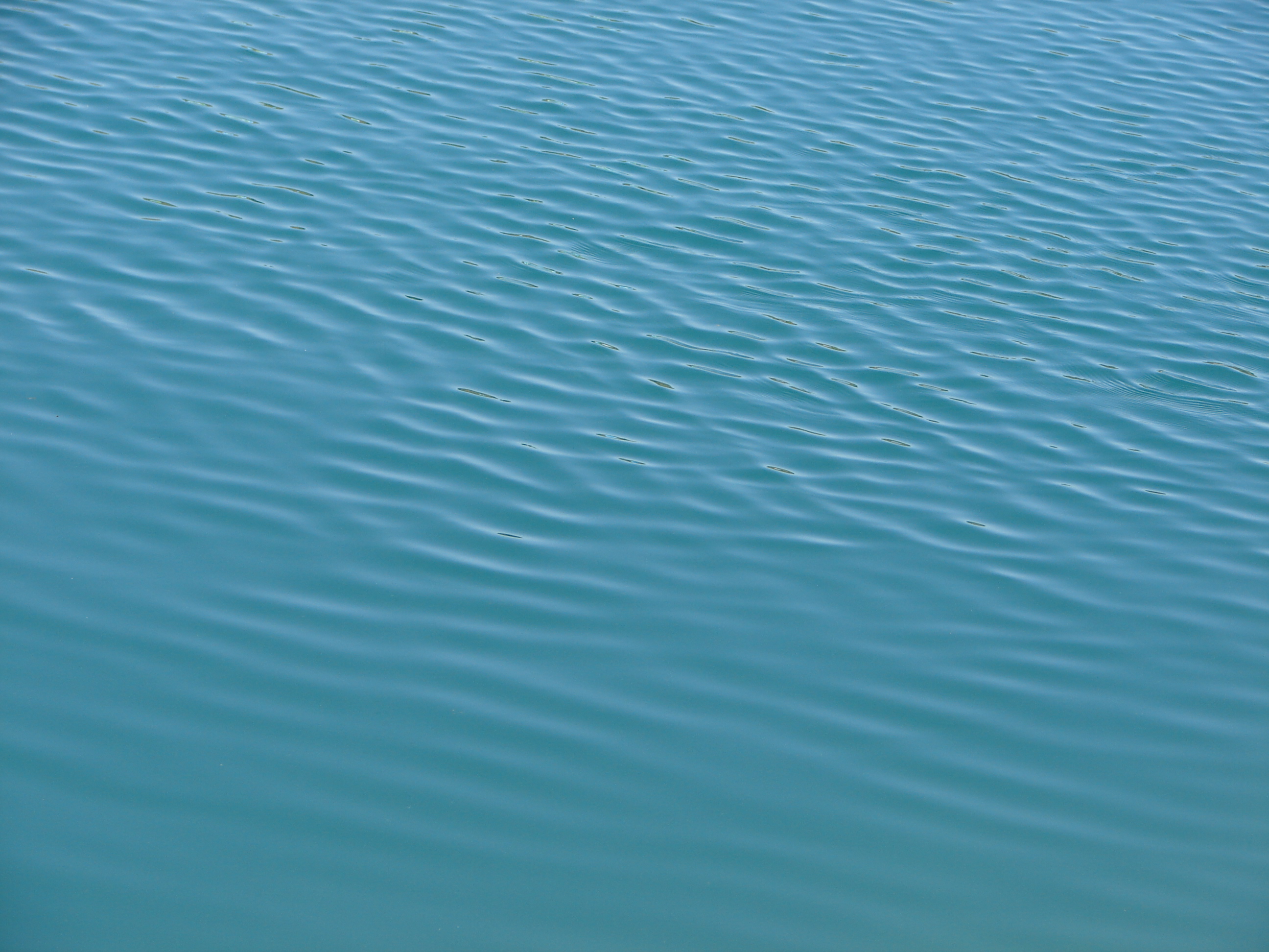 Blue Pond Water Texture 1 by FantasyStock