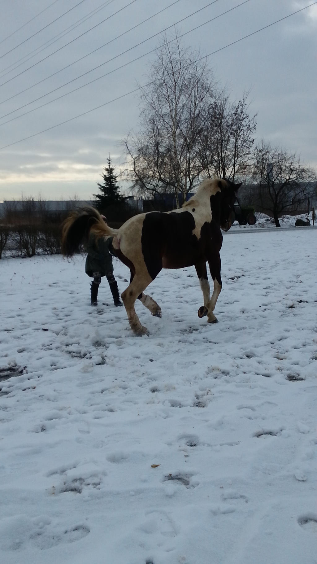 Poker4 By Kanapkozaur On DeviantArt poker4-by-kanapkozaur-on-deviantart