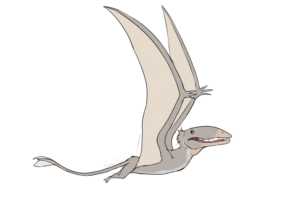 Dinovember Day 6: Dimorphodon by Kanapkozaur on DeviantArt
