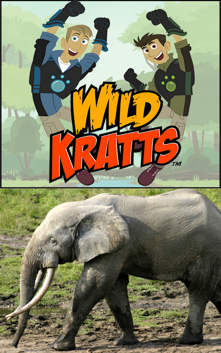 Wild Kratts learns about African forest elephants by Elephantdevinart