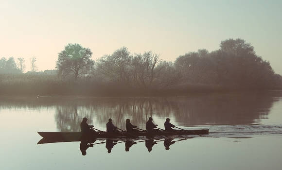 In the Cold Light of Morning