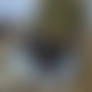 Vlcsnap-2020-10-08-21h54m36s211