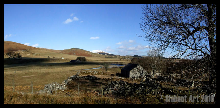 Cheviots View