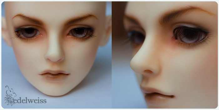 edelweiss face-up 1