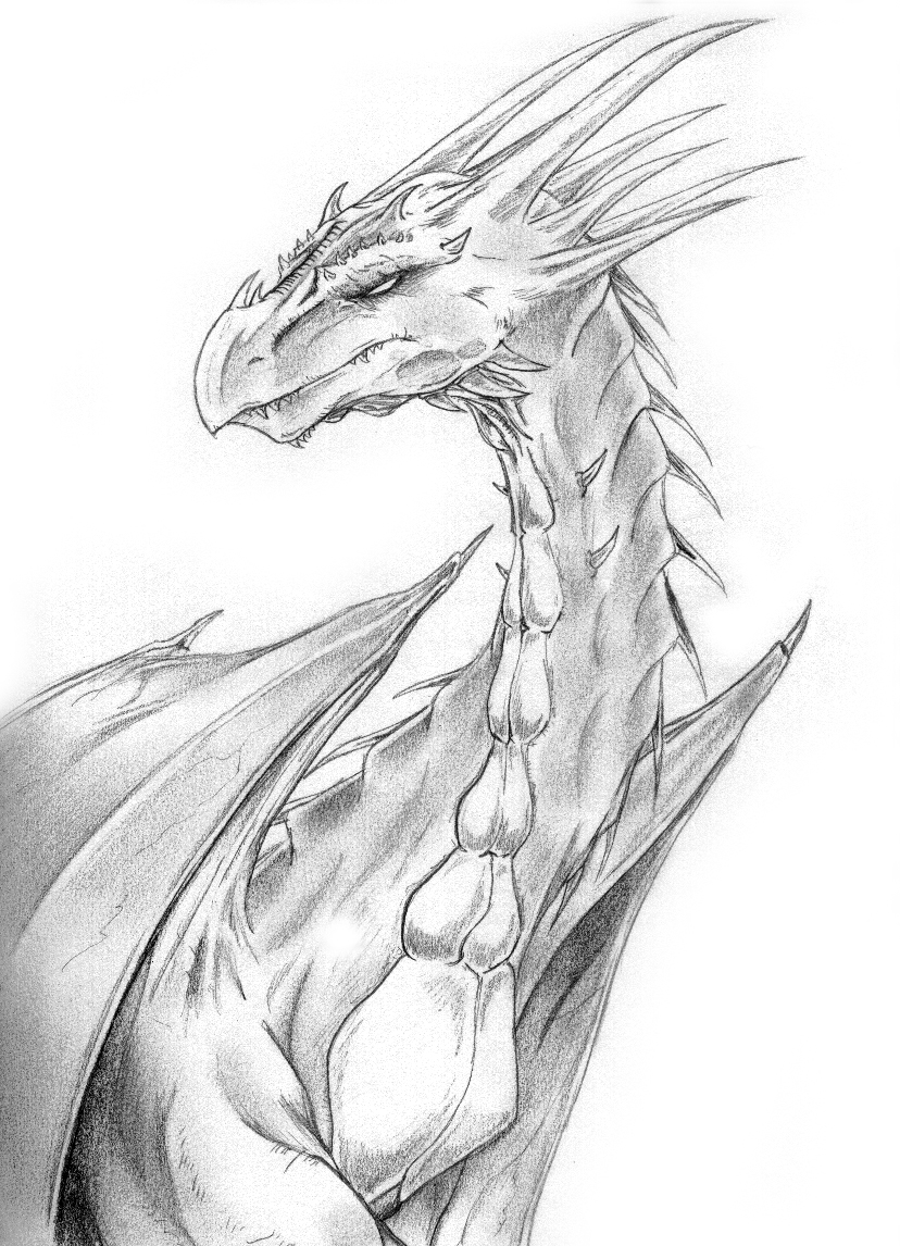 Dragon sketch