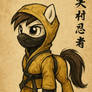 Golden ninja pony