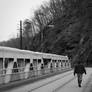 Man Walking on Bridge