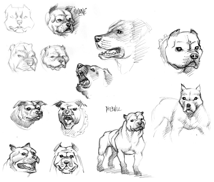 Some dog sketches