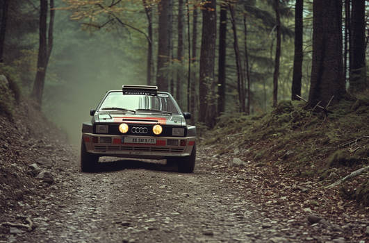 Audi Sport Quattro S1 (1985)