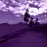 Purple landscape