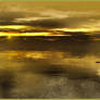 Landscape-with-water-reflections-in-the-early-morn