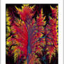 Abstract-Shrub-in-a-Frame