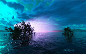 Morning-silence