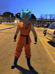 SUPER SAIYAN GOD SUPER SAIYAN