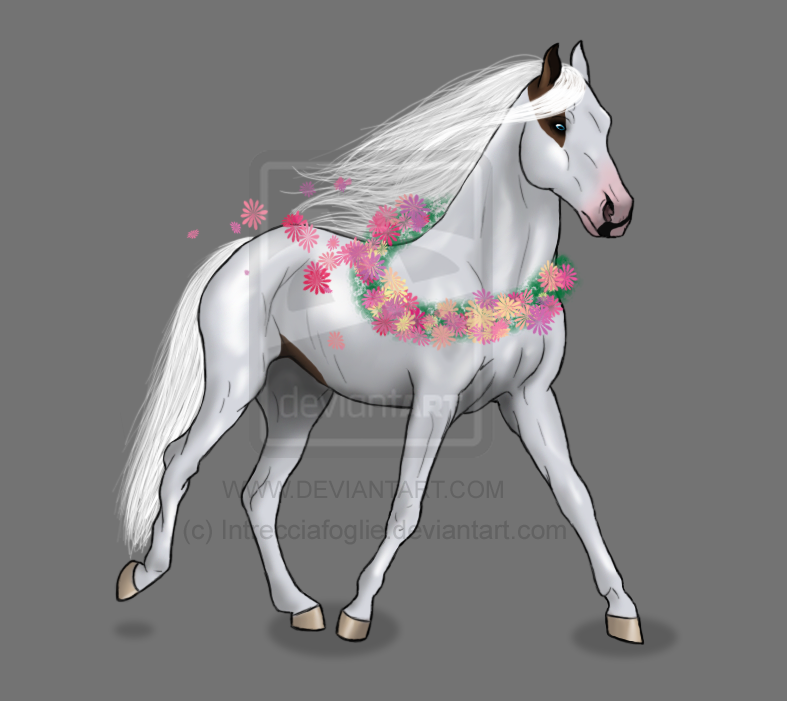 Spring Horse