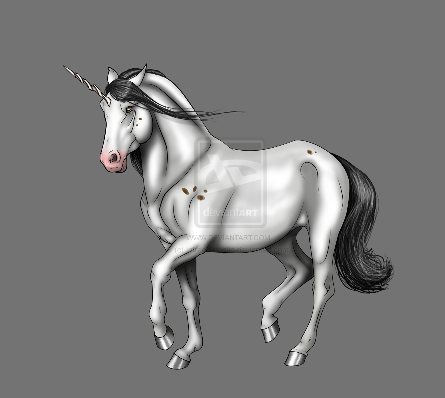 Knabstrupper Unicorn