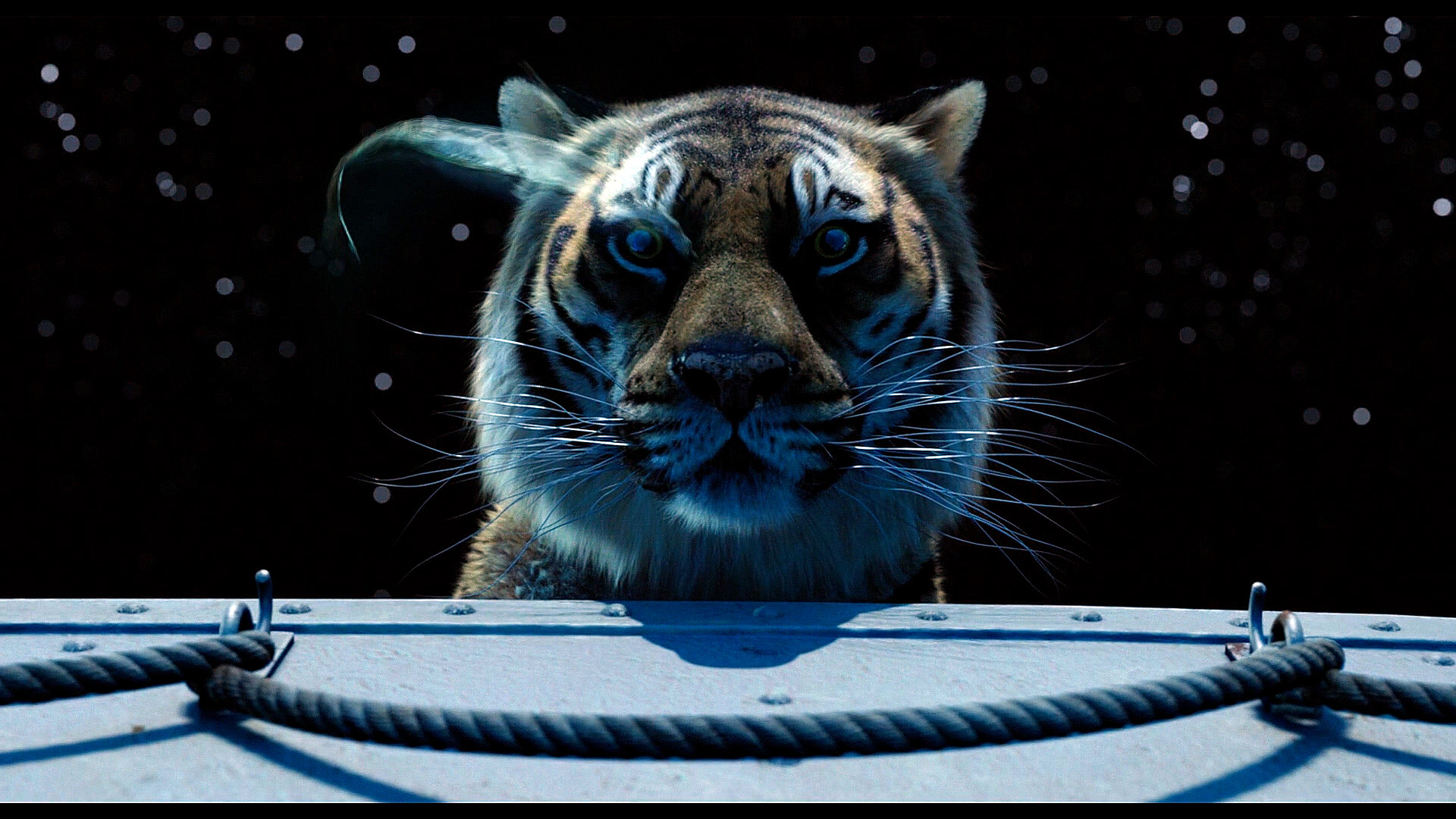 Richard Parker - Life of Pi by marsson on DeviantArt