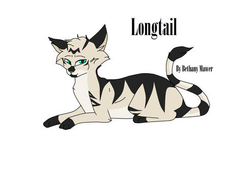 Longtail Design