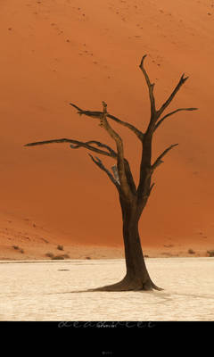 Deadvlei