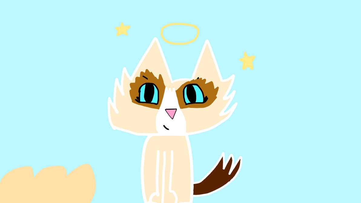 Grumpy Cat Rip Deviantart Grumpy Cat tribute by cinderpeltfangirl on DeviantArt