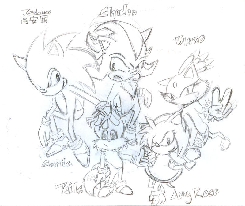 Shadow Friends' Names Shadow and friends by DuntCallMehLilShiro on DeviantArt