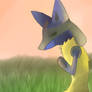 Lucario