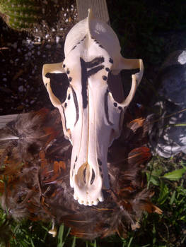 Coyote Skull Belt Ornament 2