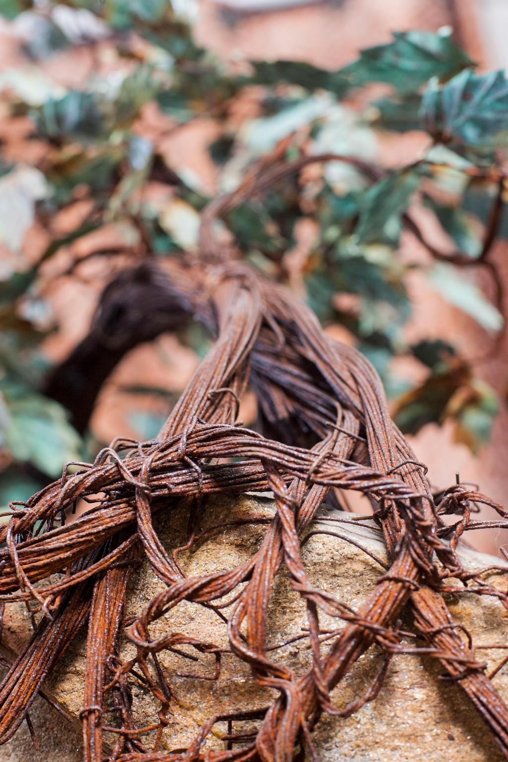 Rusted Oak Detail 3