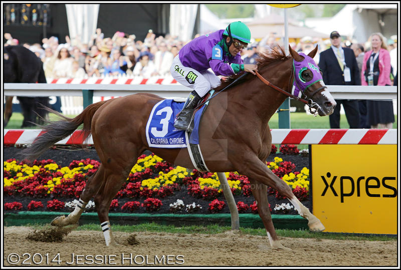 California Chrome Wins the Preakness