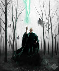 Lord Voldemort by DV-Creations