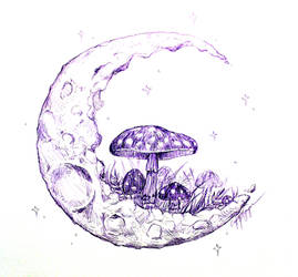 Mushrooms on the Moon