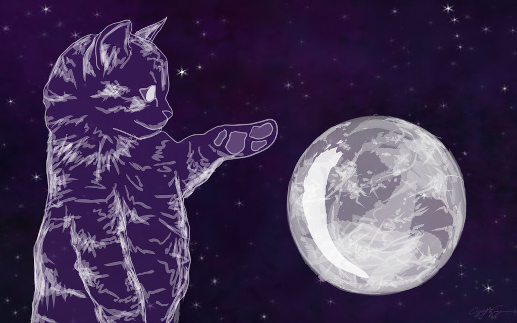 Space Cat