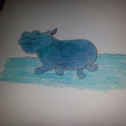 My Hippopotamus Drawing