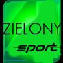 Zielony TV Sport Logo (2024 - obecnie)
