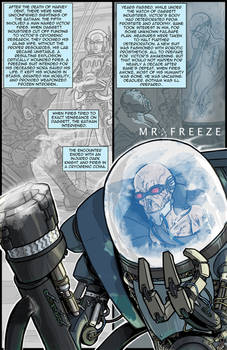 The Dark Knight Trilogy Epilogue: Mr. Freeze