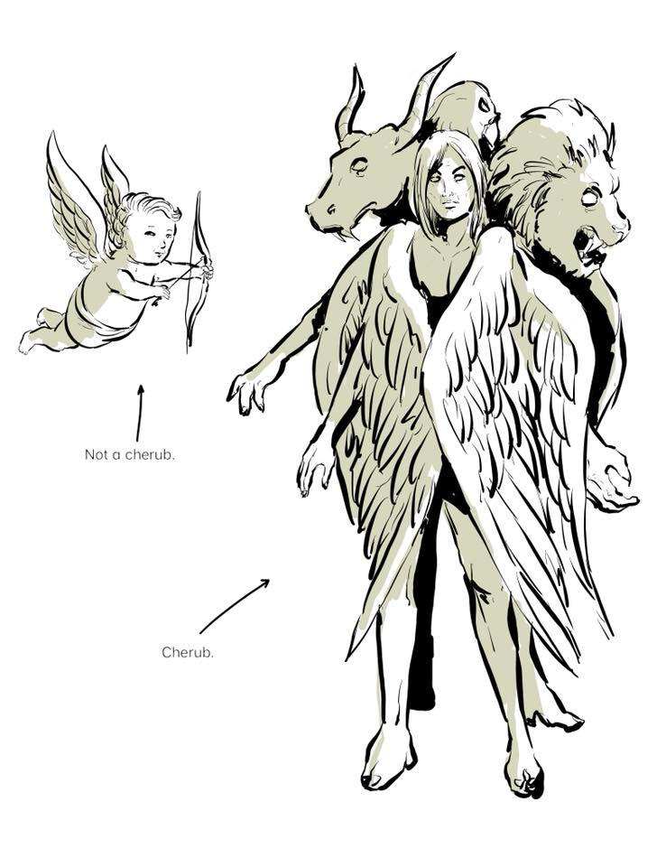 Actual Cherubim By Kinjamin On DeviantArt