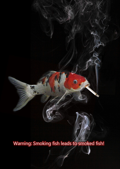 Smoking fish