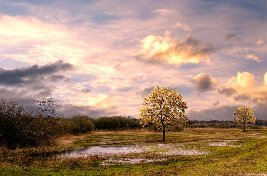 Zuiderplas