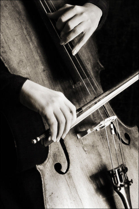 the cellist