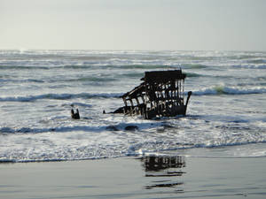 Wreck of the Peter Iredale