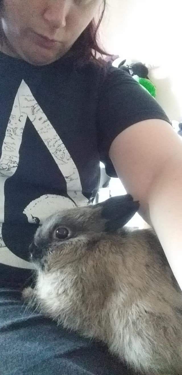 Goku the rabbit by TenseRebecca2 on DeviantArt