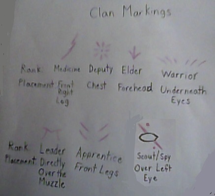 Custom Clan Character Cats -- Clan Markings by Scroll-hunter on DeviantArt